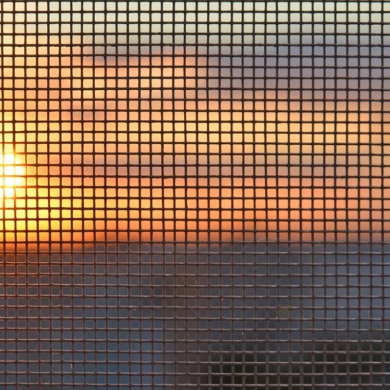 Sunset through the mosquito screen